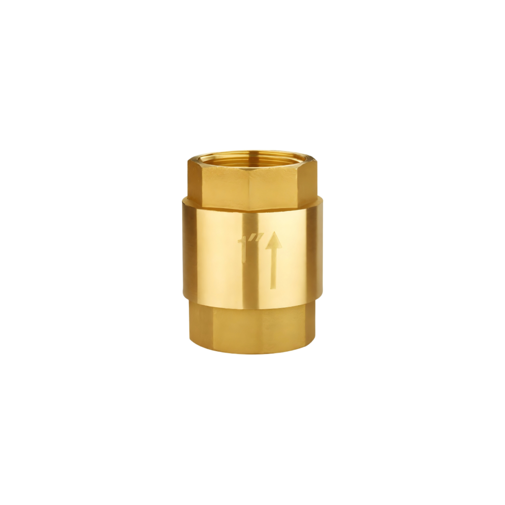 brass vertical check valve