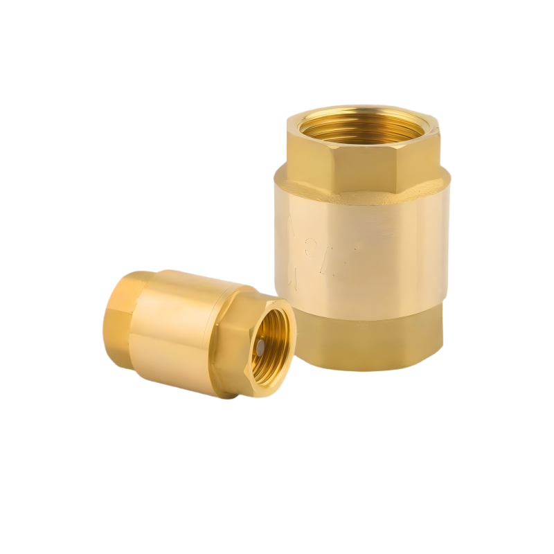 Check Valve