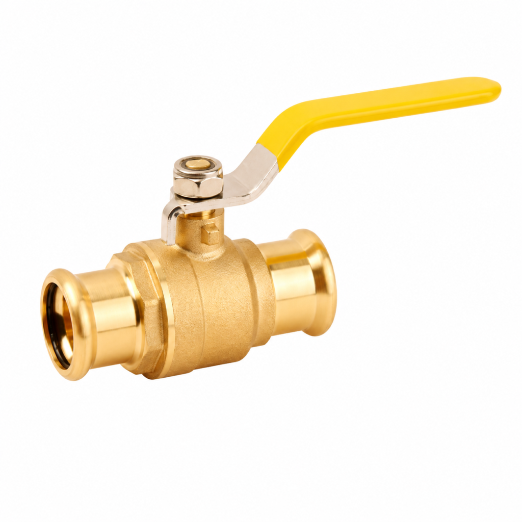 gas valve (10)