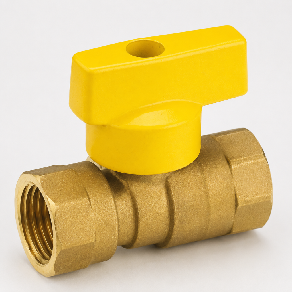 gas valve (4)