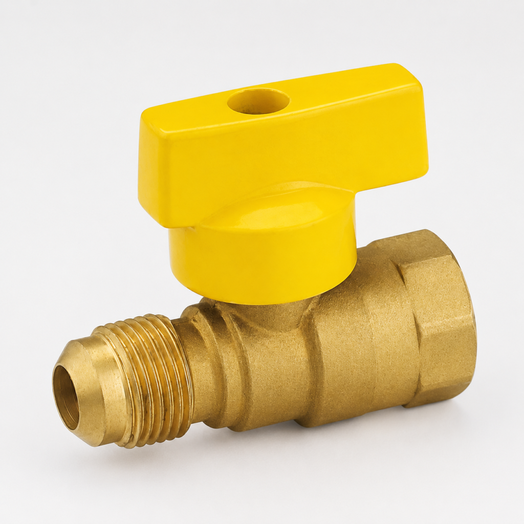 gas valve (5)