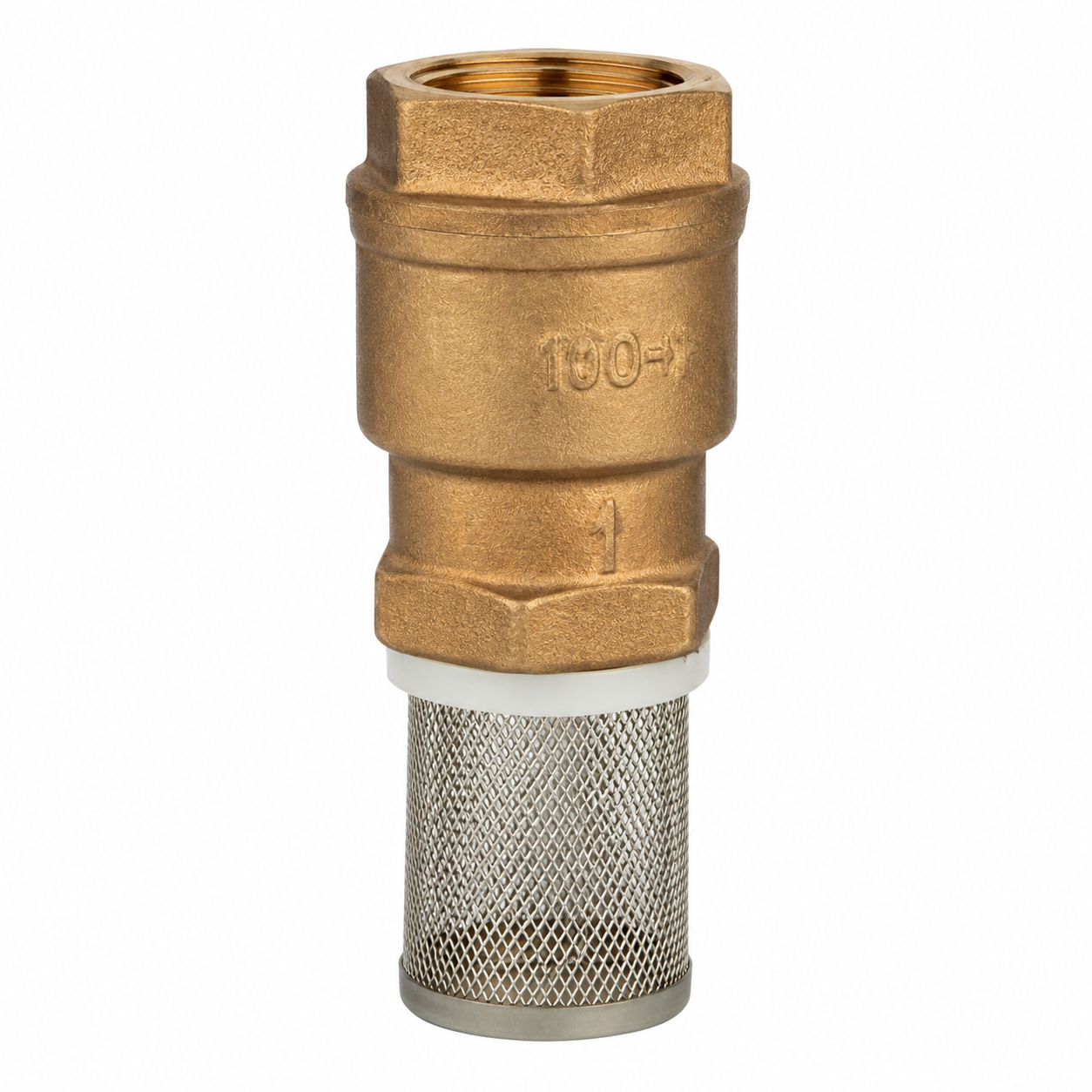 Bronze Threaded Spring Foot Valve